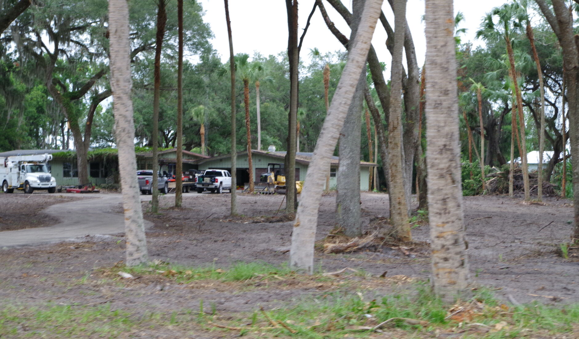 West Woodward Park Clearing 1
